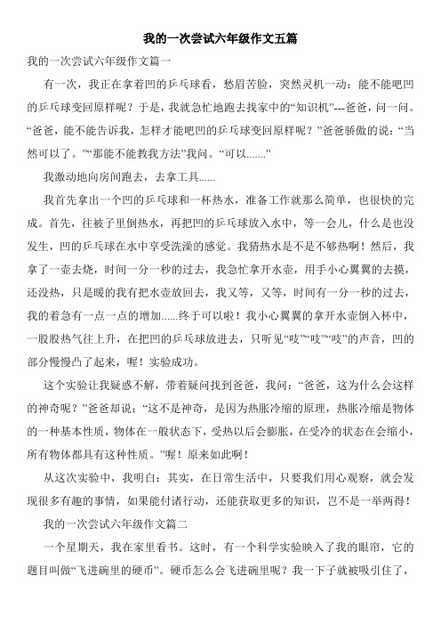 我的一次尝试六年级作文五篇