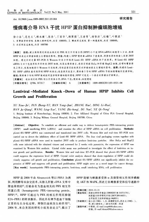 慢病毒介导RNA干扰HPIP蛋白抑制肿瘤细胞增殖