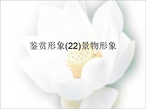 鉴赏形象(22)景物形象
