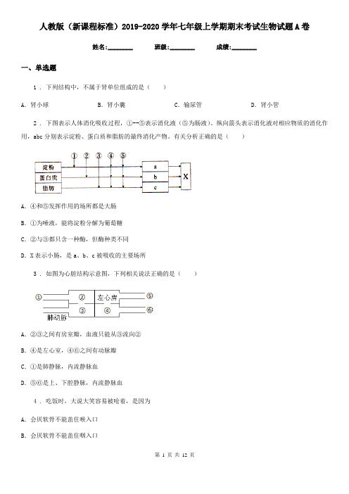 人教版(新课程标准)2019-2020学年七年级上学期期末考试生物试题A卷