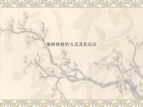果树修剪的方式及其反应