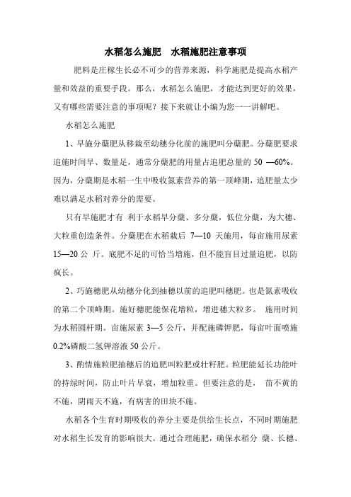 水稻怎么施肥  水稻施肥注意事项.doc