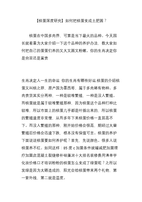 【桃蛋深度研究】如何把桃蛋变成土肥圆？