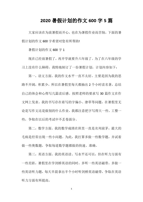 2020暑假计划的作文600字5篇