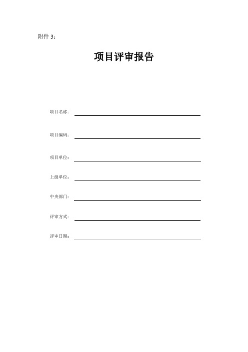 项目评审报告