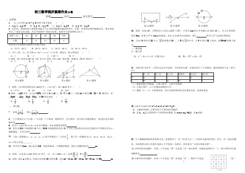 初三上册数学国庆假期作业B卷(A3打印版)