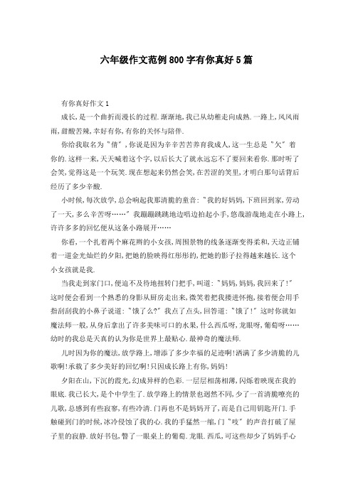 六年级作文范例800字有你真好5篇