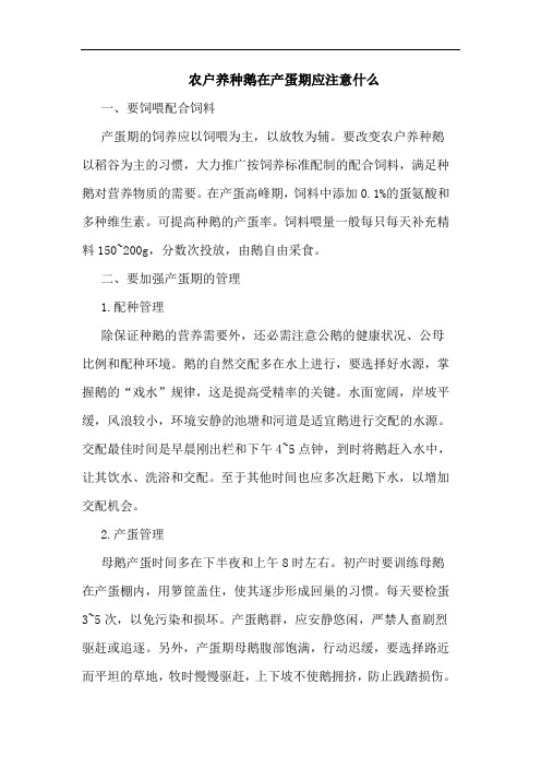 农户养种鹅在产蛋期应注意什么