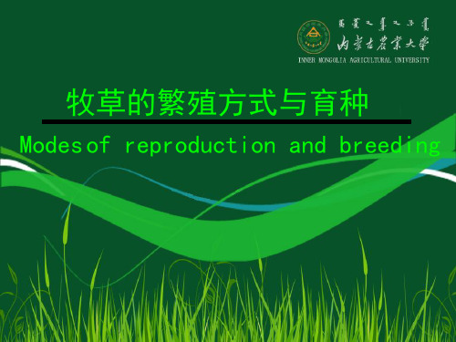 牧草的繁殖方式与育种