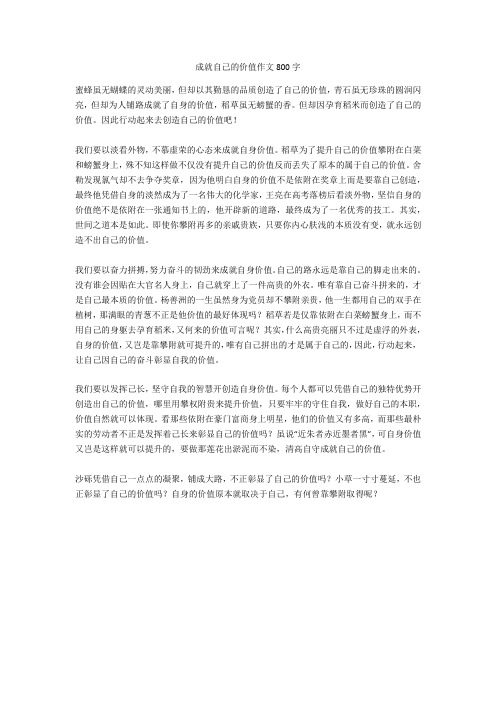 成就自己的价值作文800字正式版