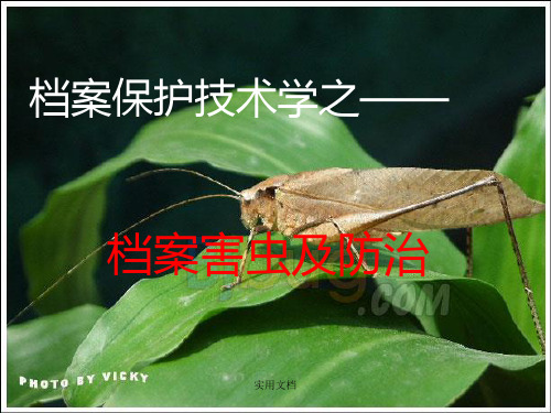 档案害虫及防治