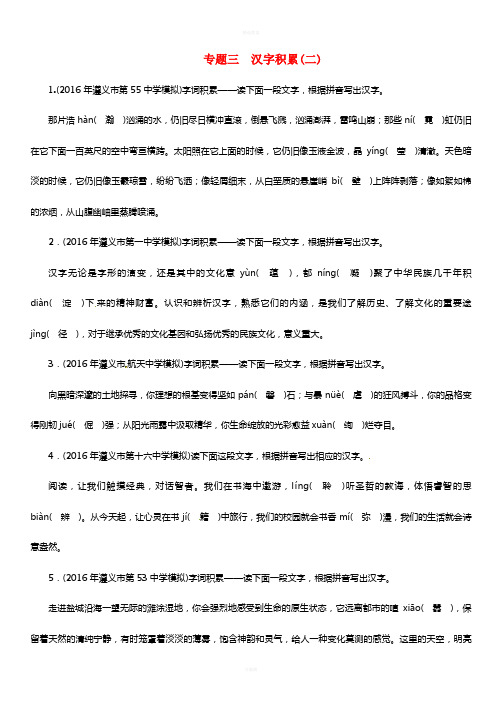 中考语文命题研究 第二部分 中考题型突破篇 专题三 汉字积累(二)精练