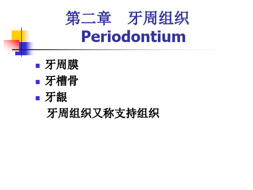 口腔组织病理学_第二章：牙周组织