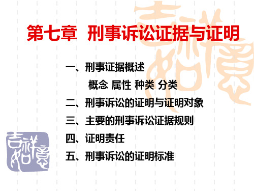 07证据与证明
