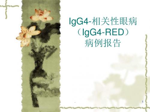 IgG4相关性眼病PPT课件