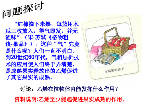 生物必修Ⅲ人教新课标3-3其他植物激素课件(21张)