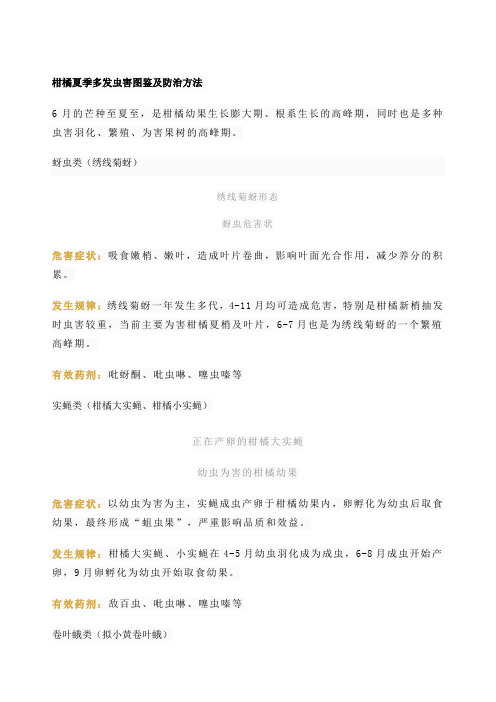 柑橘夏季多发虫害图鉴及防治方法