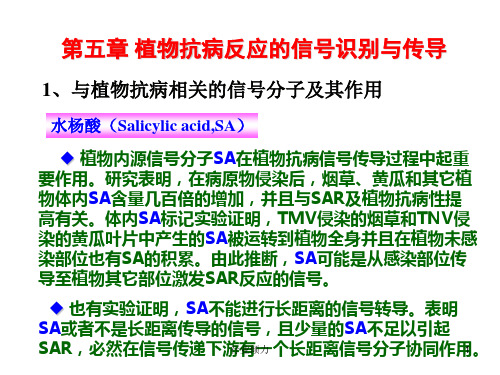 植物抗病反应的信号识别与传导[研究知识]