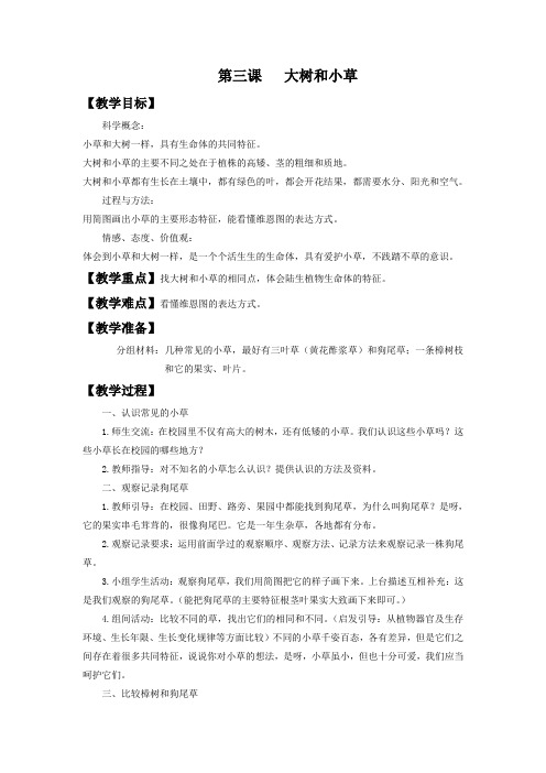 教科版科学三年级上册 第一单元《大树和小草》教案2
