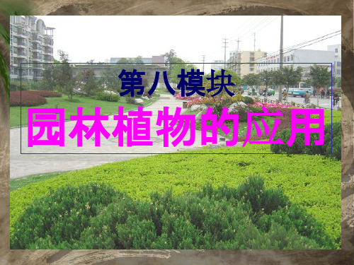 园林植物应用