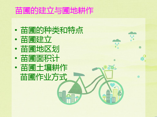 苗圃建立和圃地耕作