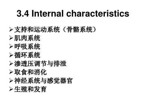 海洋鱼类(2)