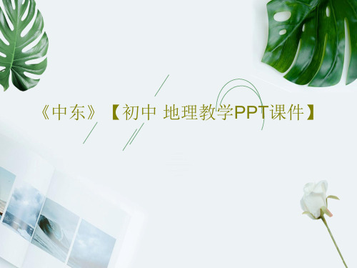 《中东》【初中 地理教学PPT课件】共31页
