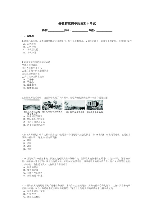 安徽初三初中历史期中考试带答案解析

