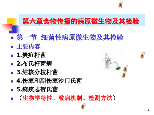 常见病原微生物检测