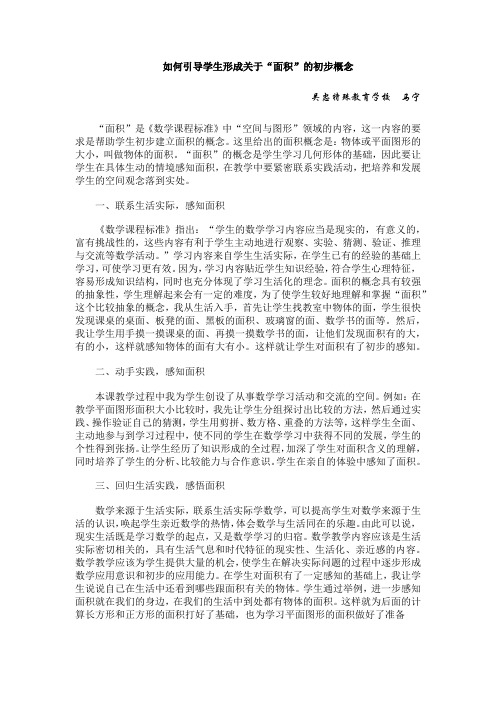 面积的概念