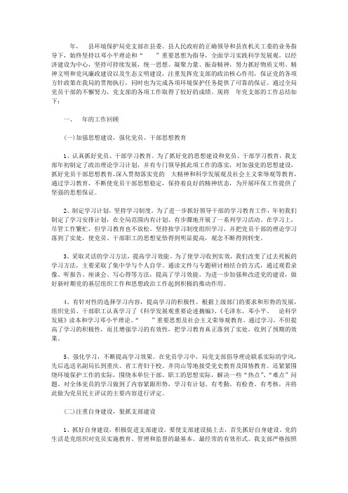 环保局党支部2019年工作总结范文
