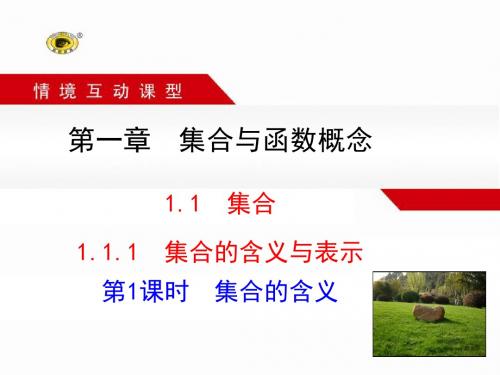 1.1.1  集合的含义与表示 第1课时  集合的含义