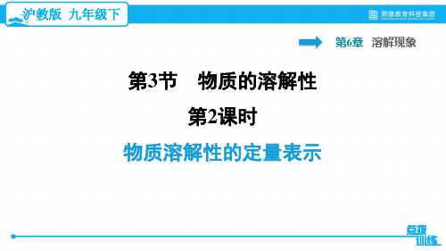 2021春沪教版九年级化学下册 第6章 6.3.2 物质溶解性的定量表示