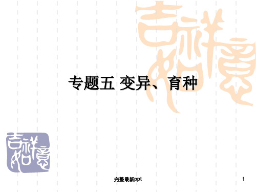 变异和育种ppt课件