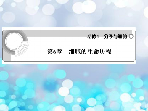 细胞的生命历程PPT教学课件
