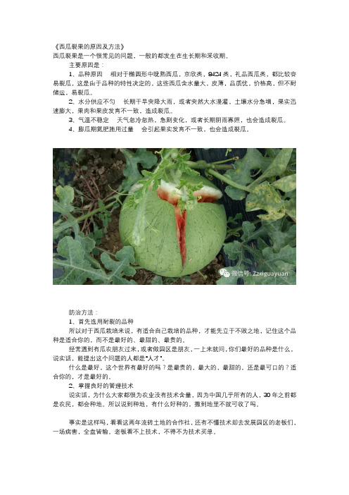 《西瓜裂果的原因及防治方法》