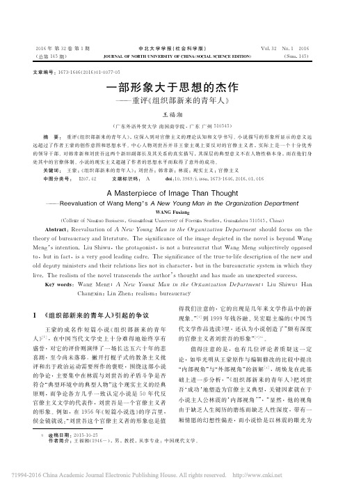 一部形象大于思想的杰作_重评_组织部新来的青年人_王福湘