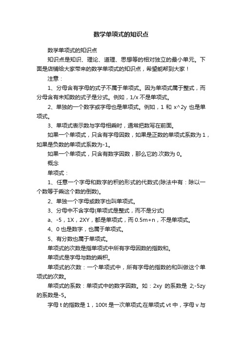 数学单项式的知识点