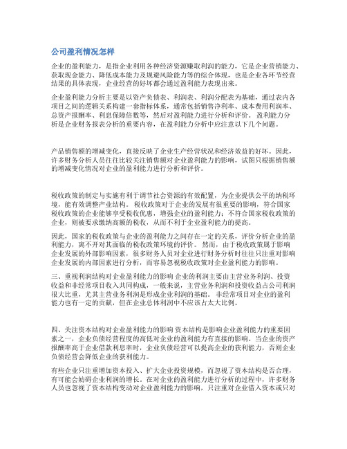 企业盈利能力分析范文