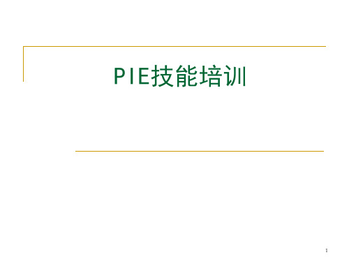 PIE技能 PPT课件