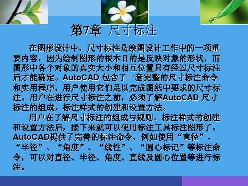 第七章 尺寸标注综述
