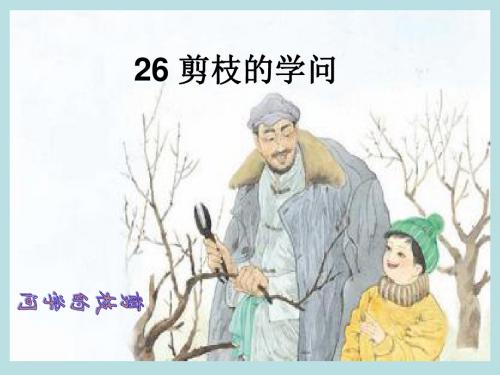 剪枝的学问ppt课件