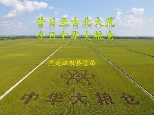 北大荒