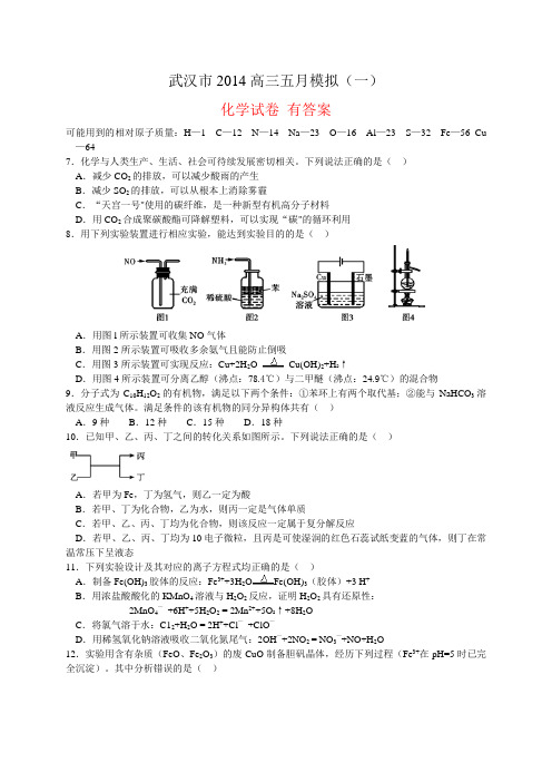 湖北省武汉市2014届高三5月模拟考试化学试卷 有答案