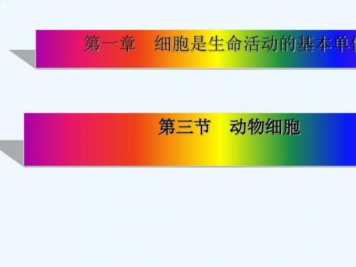 2019新人教版七年级生物上册第三节_动物细胞课件ppt课件