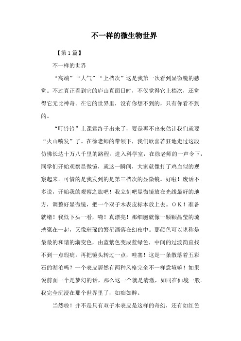 不一样的微生物世界