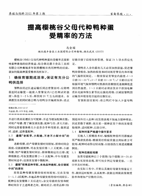 提高樱桃谷父母代种鸭种蛋受精率的方法