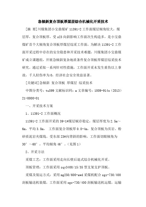 急倾斜复合顶板厚煤层综合机械化开采技术