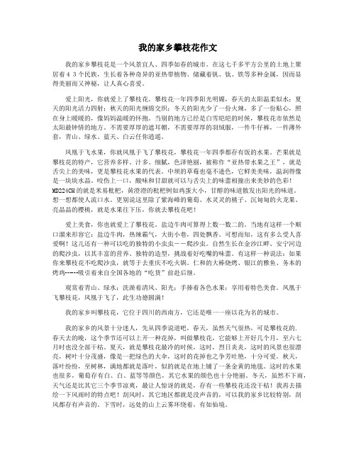 我的家乡攀枝花作文