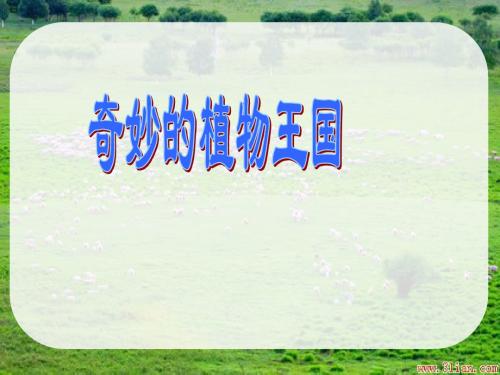 奇妙的植物王国